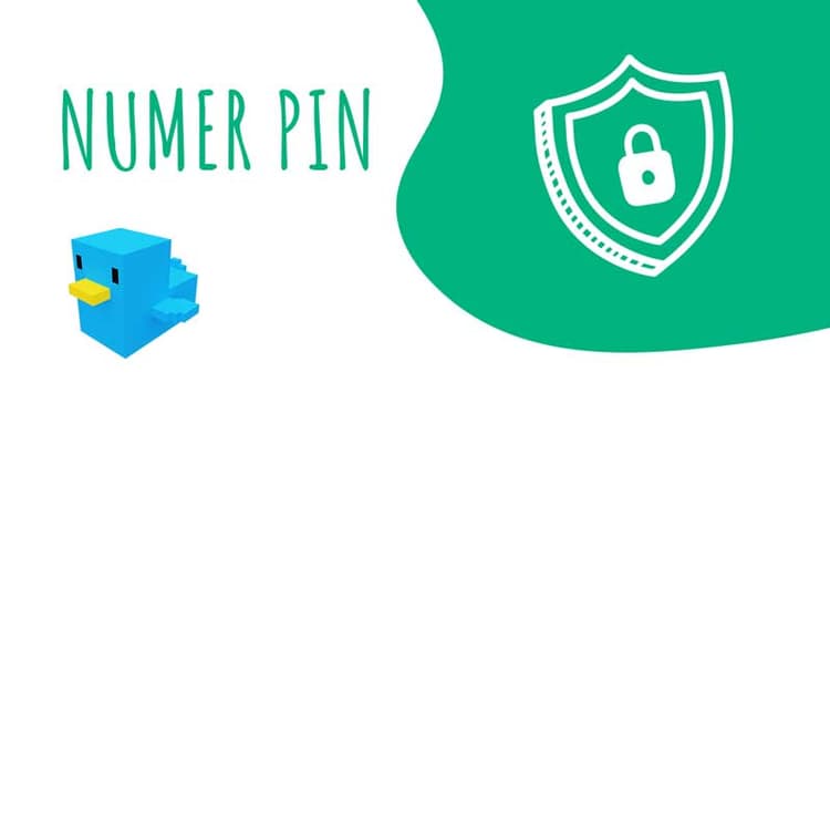 NUMER PIN