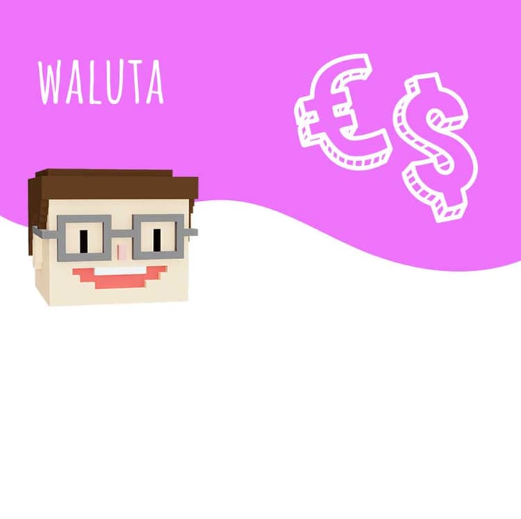 waluta